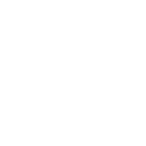 Professional Engineer